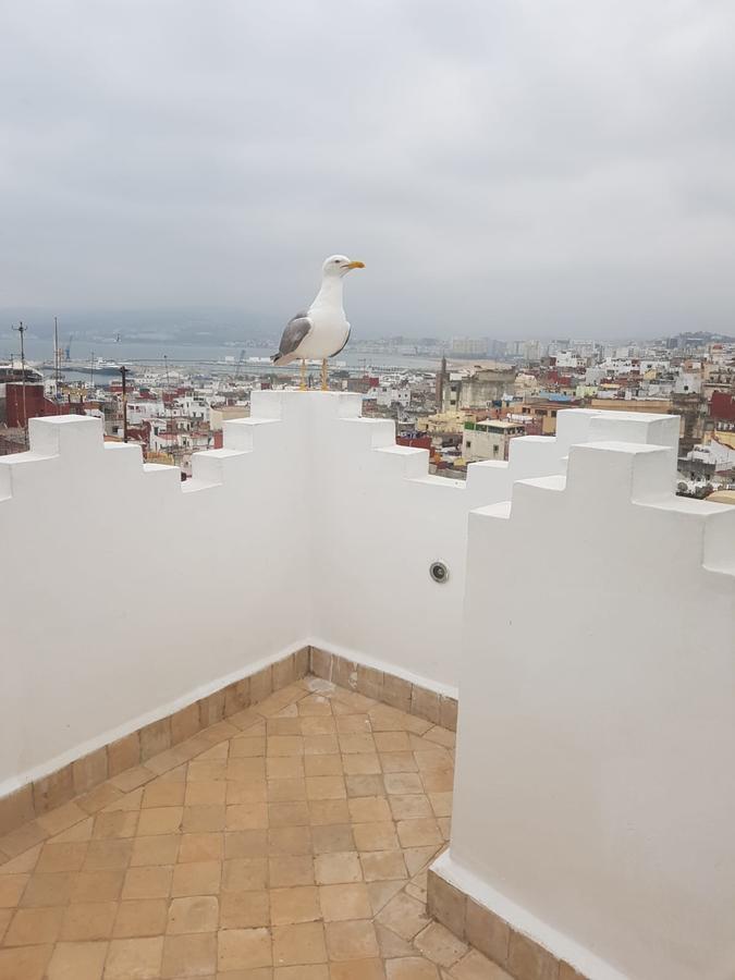 Vakantiehuis Maison Medina, Terrasse Panoramique, Vue Tanger